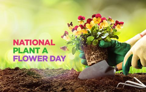 Plant a Flower Day! 