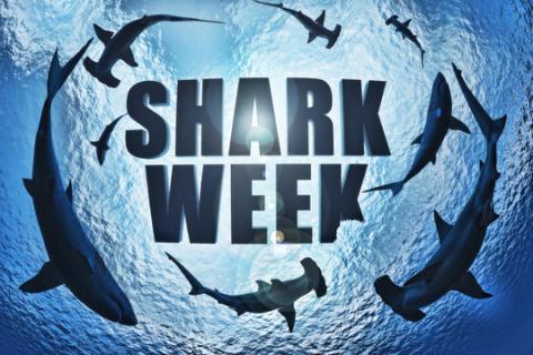 Shark Week! 