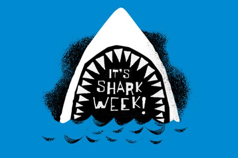 Shark Week! 