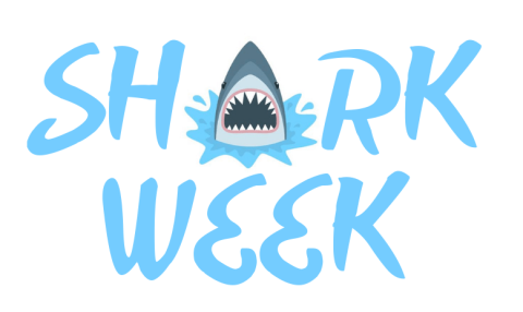 Shark Week! 