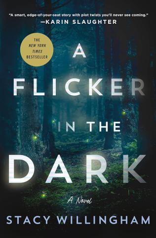 A Flicker in the Dark covert art