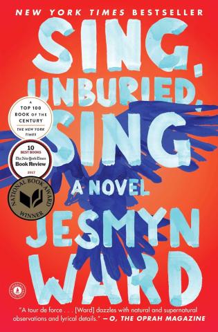 book cover of sing unburied sing