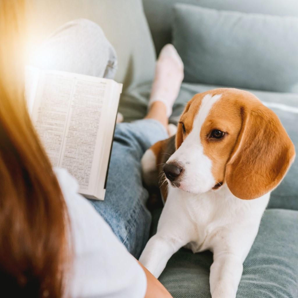 A woman reading to a dog.