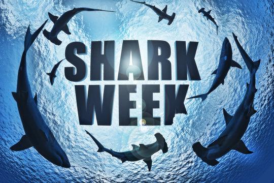 Shark Week! 